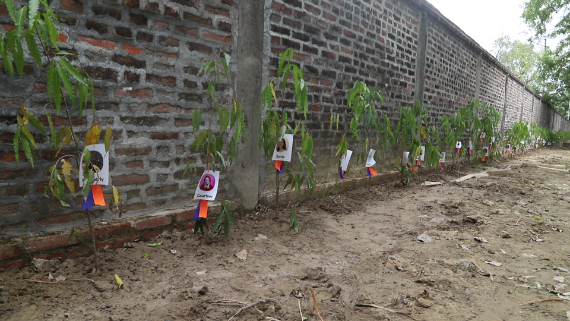 1000 Ashoka trees planted in Lumbini